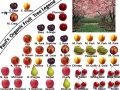 Fruit Tree Legend