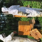 Beekeeping on an organic farm