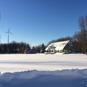 Windpower at Paul's Organic Farm 